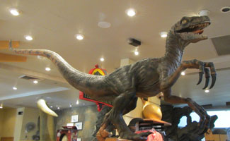 Velociraptor Grown